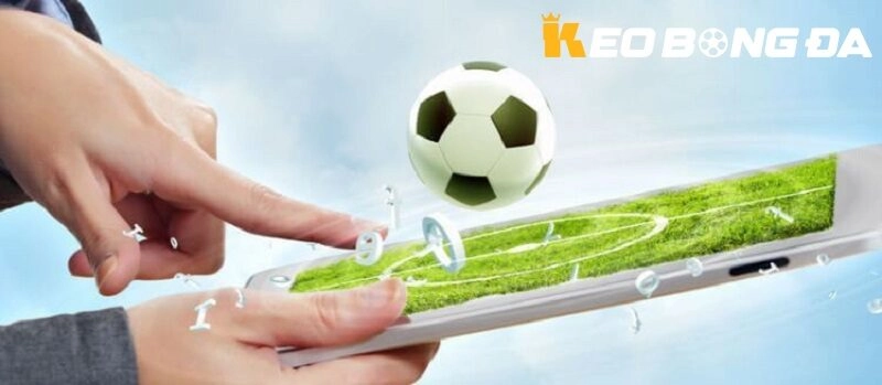 Kèo dựa trên cảm xúc hoặc đội bóng yêu thích